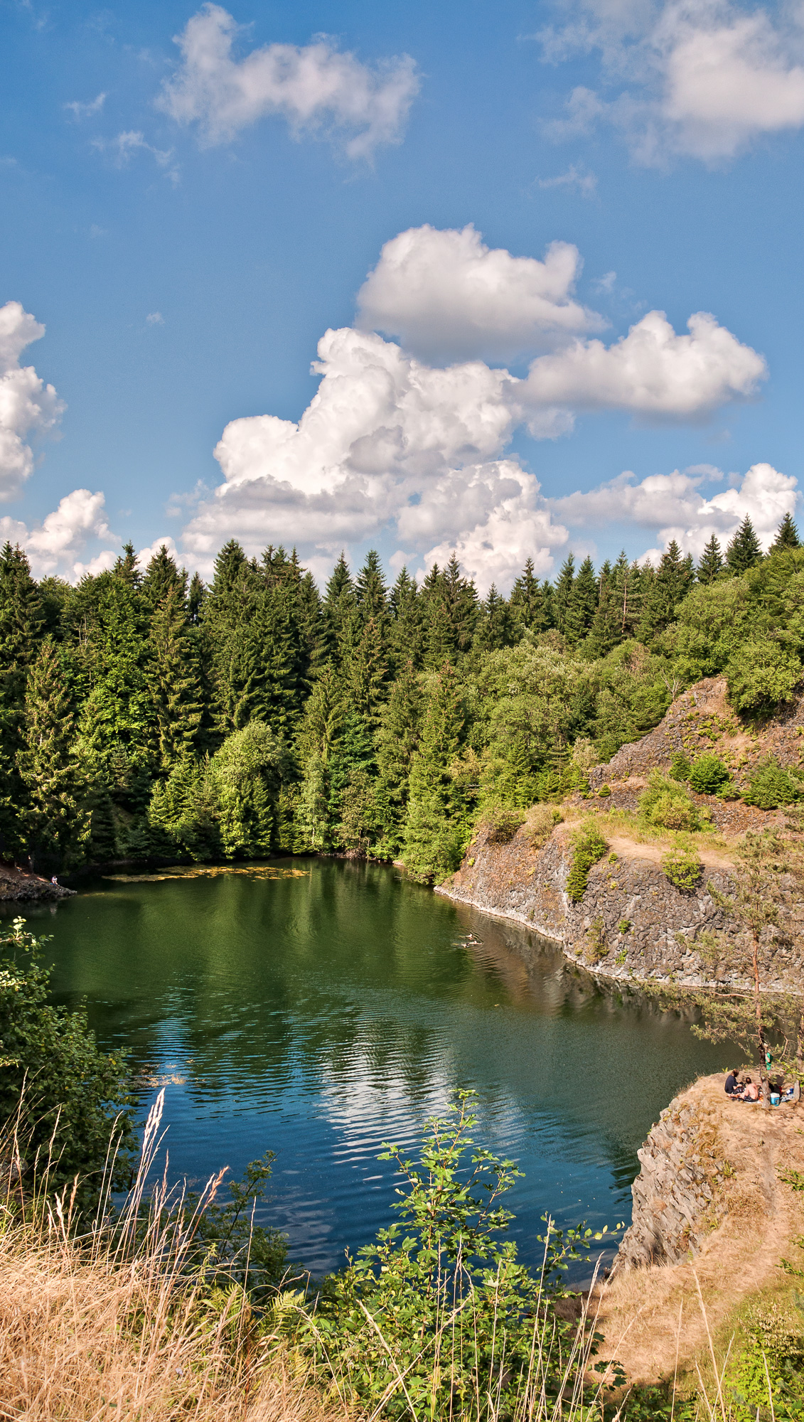 Tintenfass im Sommer